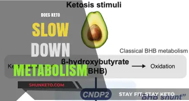 Does Keto Slow Metabolism? Unraveling the Truth Behind the Diet
