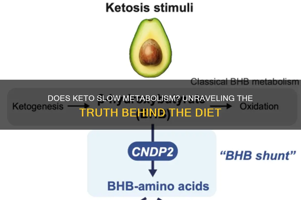 does keto slow down metabolism