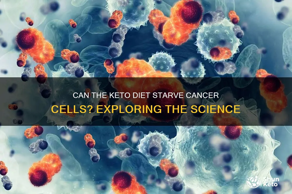 does keto starve cancer