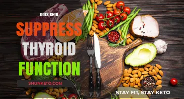Keto and Thyroid Function: Debunking Myths and Understanding the Impact