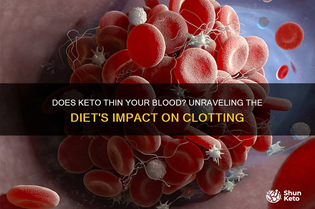does keto thin blood