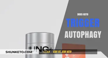 Keto and Autophagy: Unlocking Cellular Renewal Through Low-Carb Eating