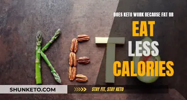 Keto: Fat or Calories Deficit, What's the Real Deal?