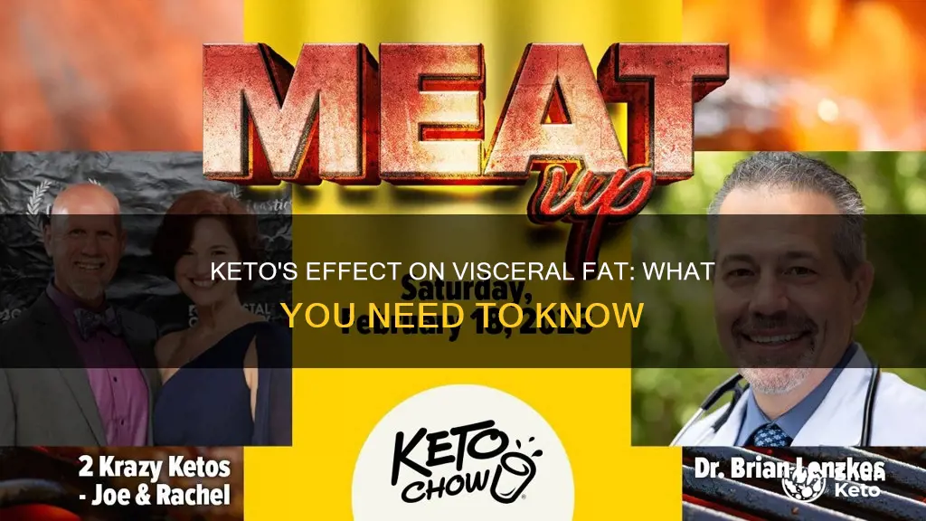 does keto work on visory fat