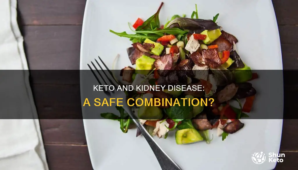 does keto work with kidney disease