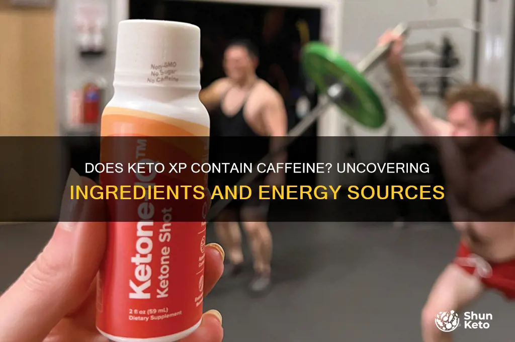 does keto xp contain caffeine