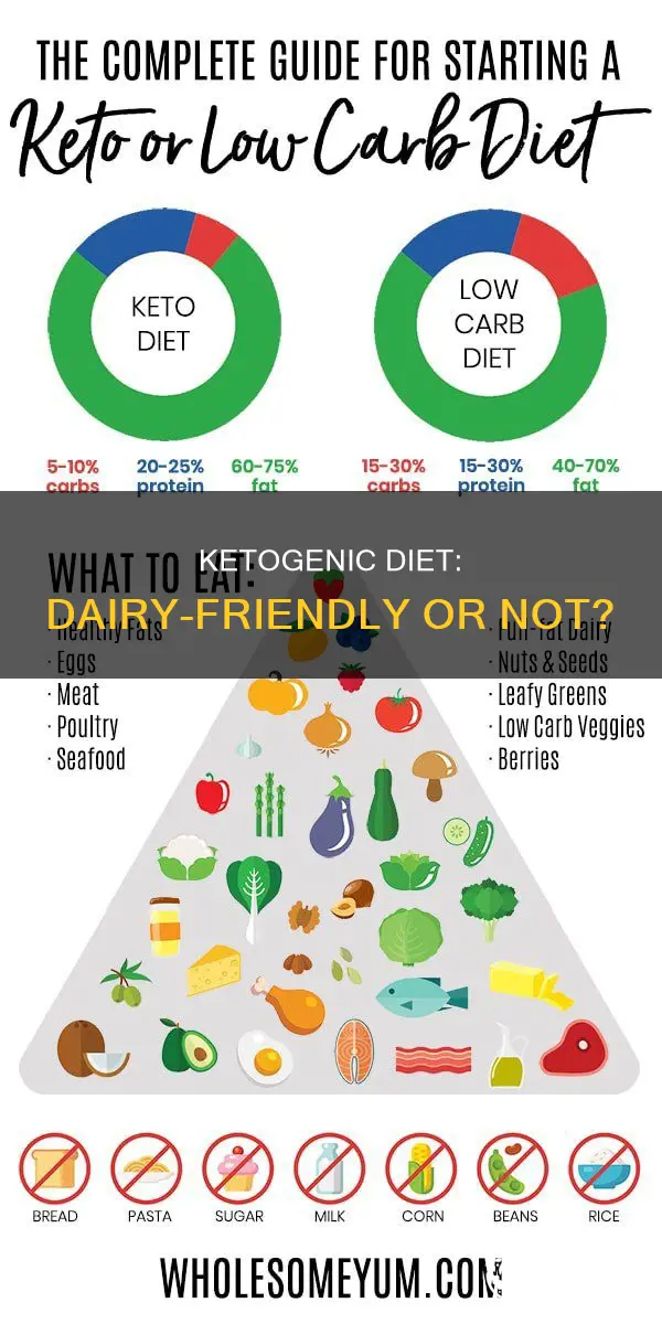 does ketogenic diet allow dairy