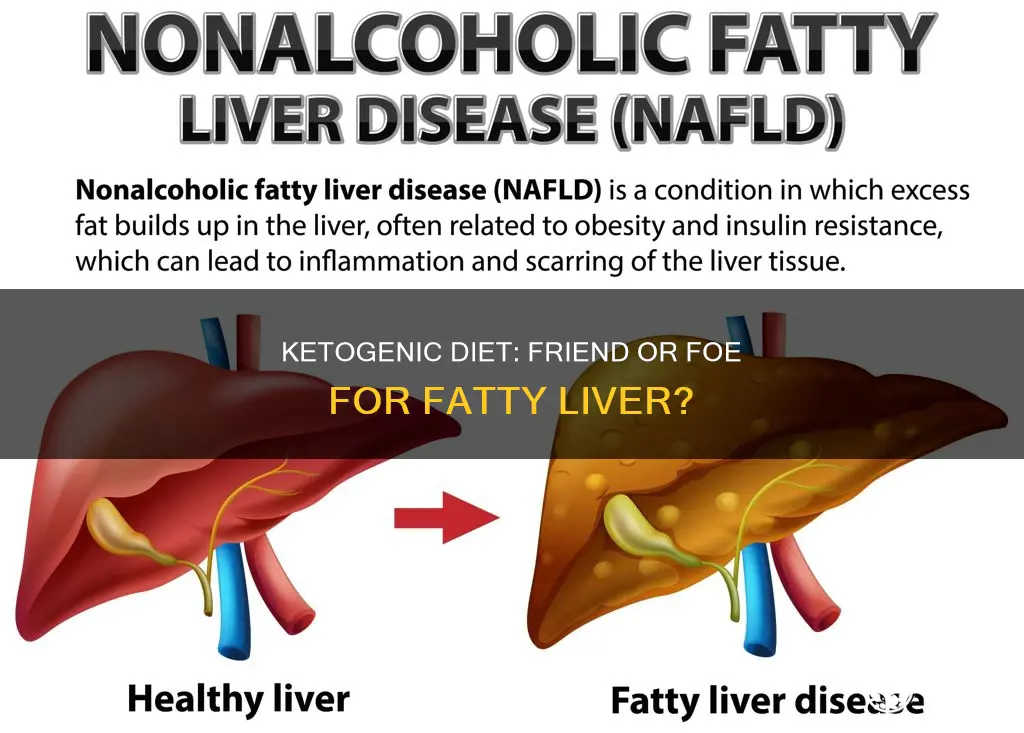 does ketogenic diet cause fatty liver