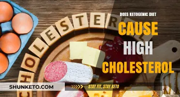 Ketogenic Diet and Cholesterol: Unraveling the High Cholesterol Myth