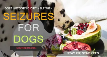 Ketogenic Diet: Can It Stop Your Dog's Seizures?