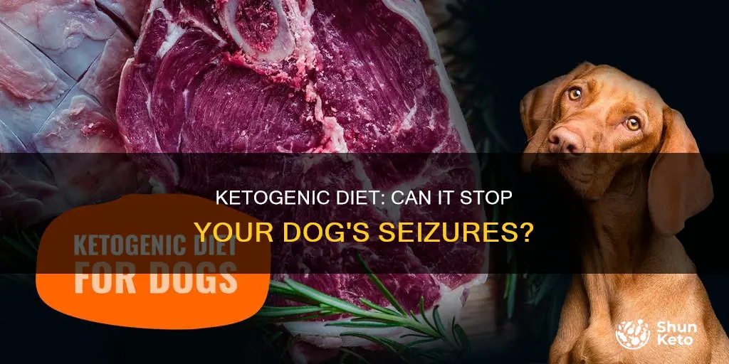 does ketogenic diet help with seizures for dogs
