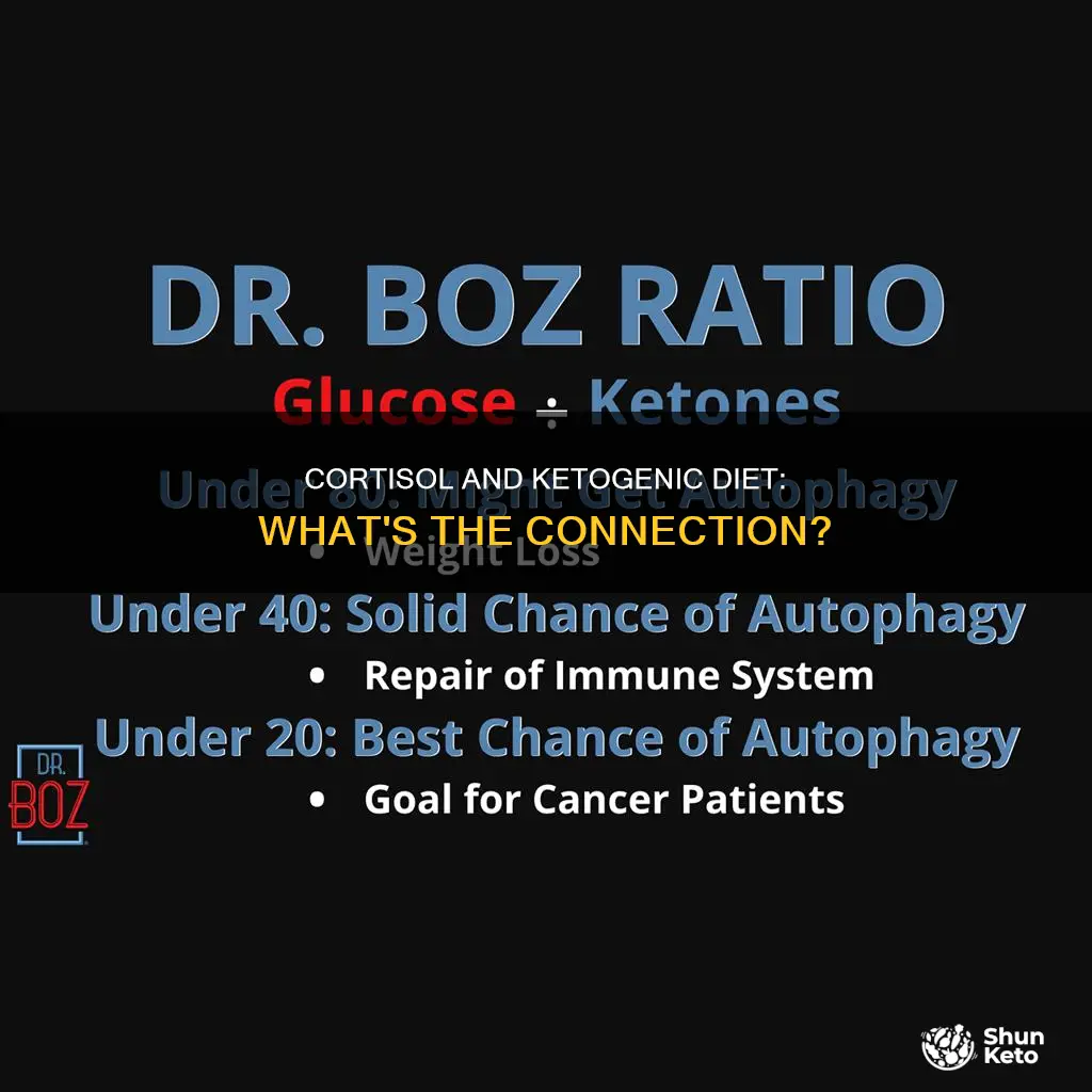 does ketogenic diet increase cortisol