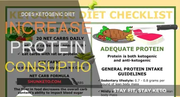 Ketogenic Diet: Does It Increase Protein Consumption?