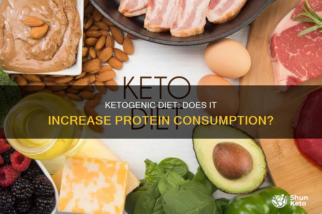 does ketogenic diet increase protein consuptions
