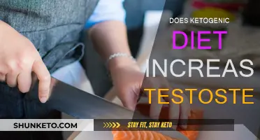 Ketogenic Diet: Testosterone Boost or Myth?