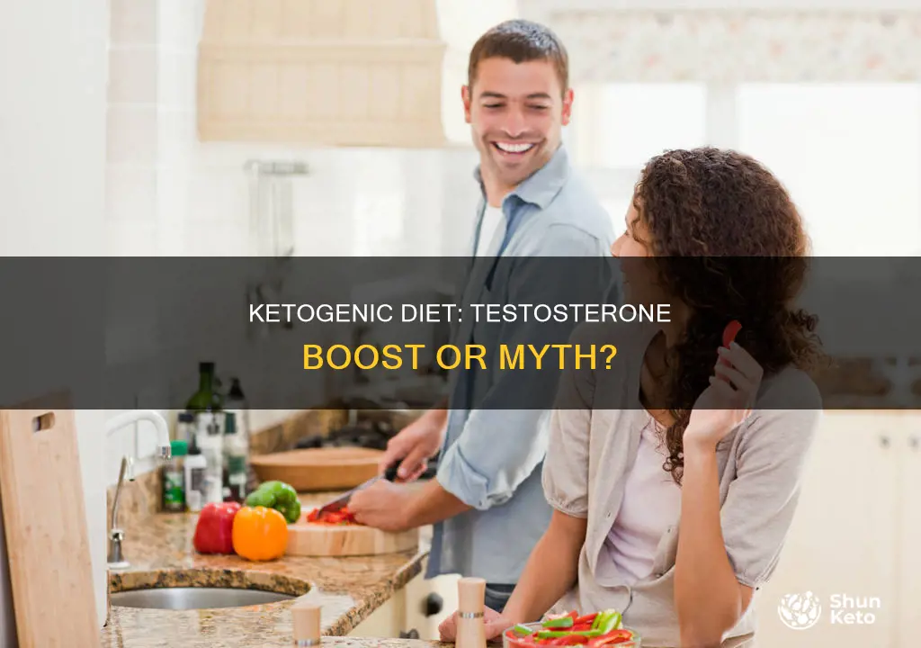 does ketogenic diet increase testosterone
