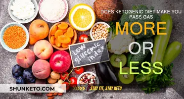 Ketogenic Diet: Gas and Flatulence Explained