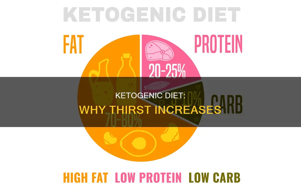 does ketogenic diet make you thirsty