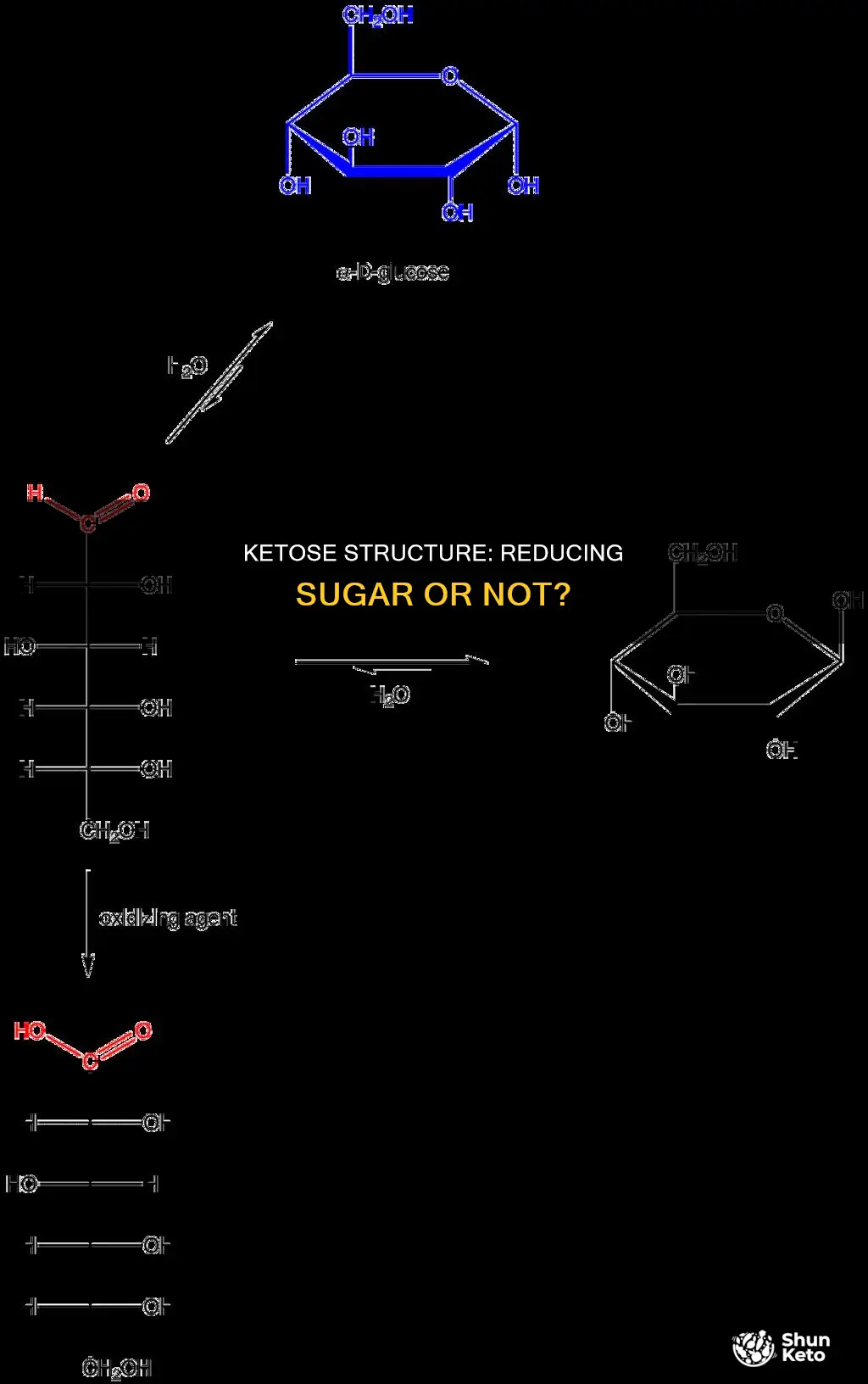 does ketoses structure contain a reducing sugar