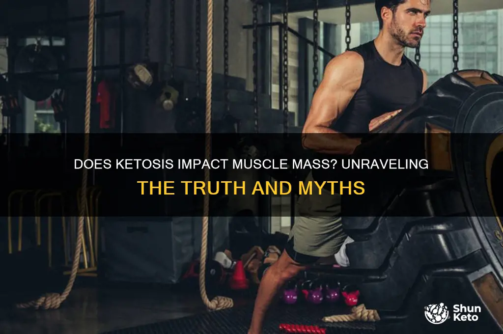 does ketosid decrease muscle mass
