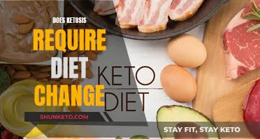 Ketosis and Diet: What's the Real Link?