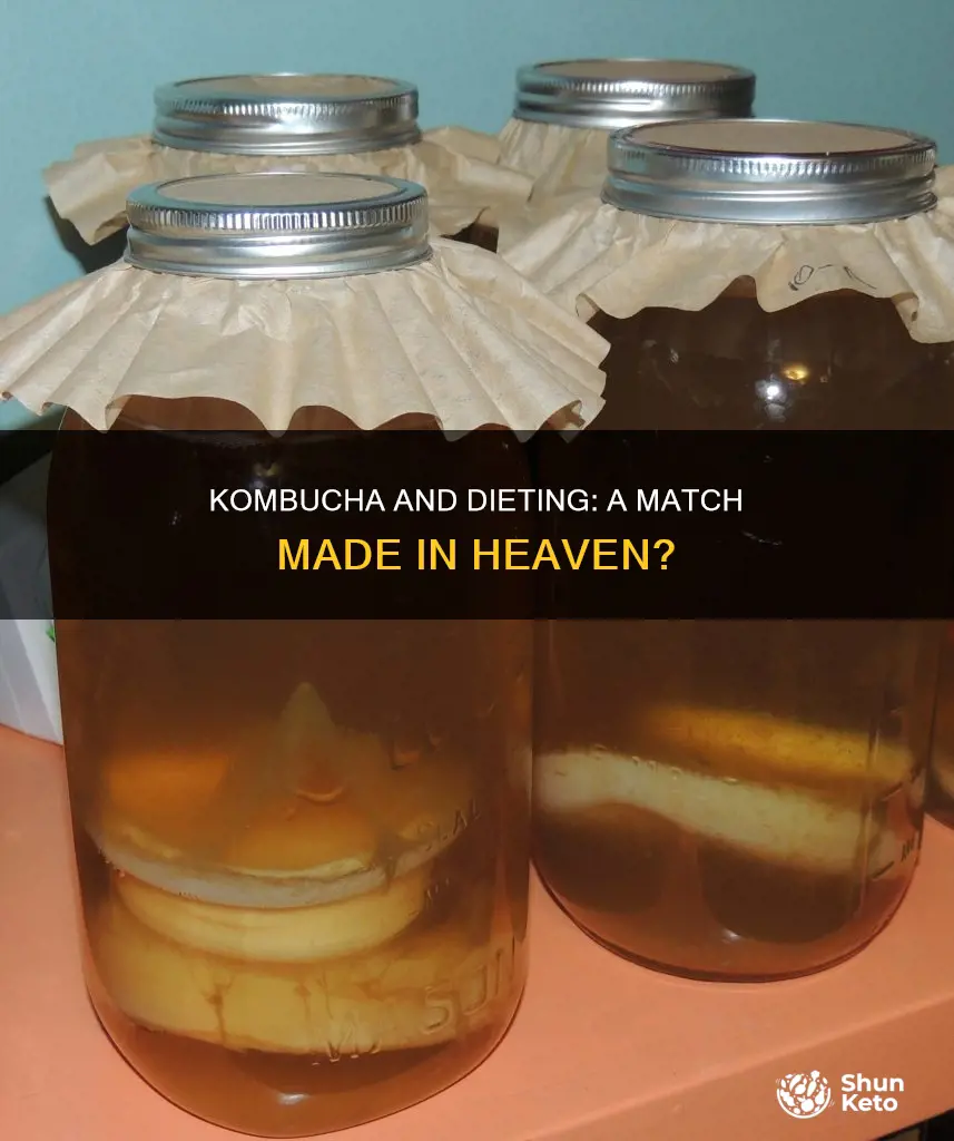 does kombucha help with dieting