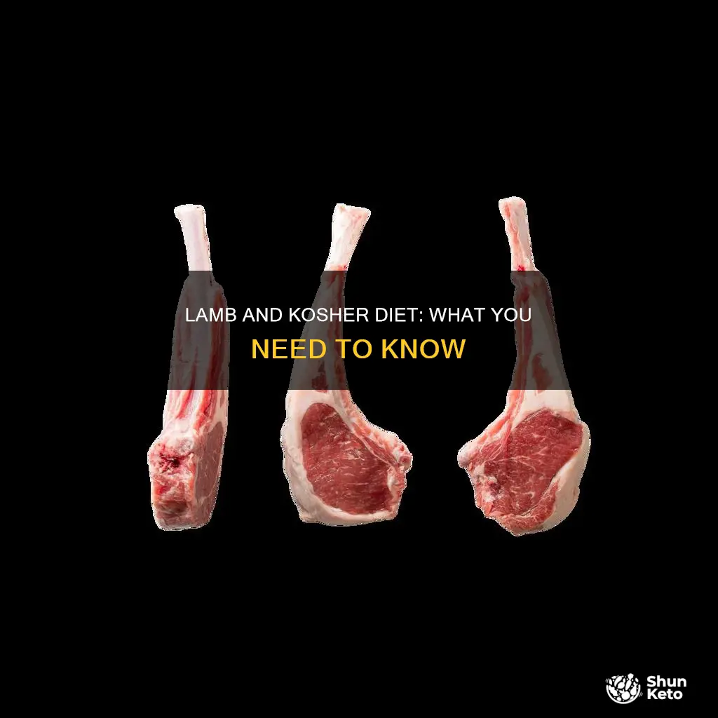 does kosher diet allow lamb