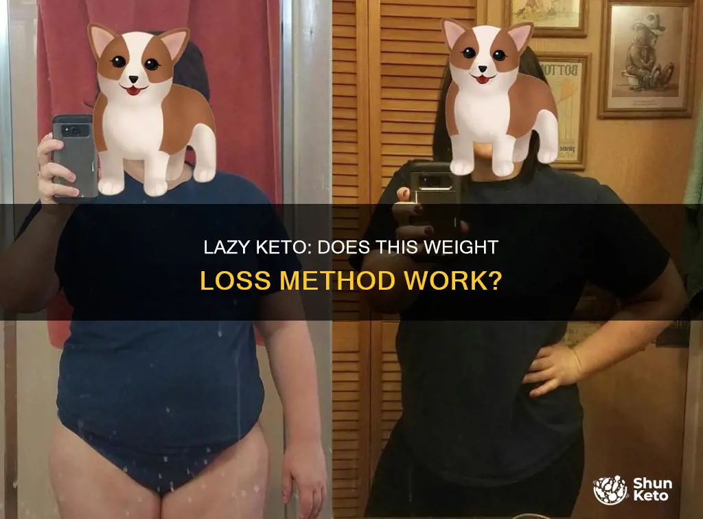 does lazy keto work