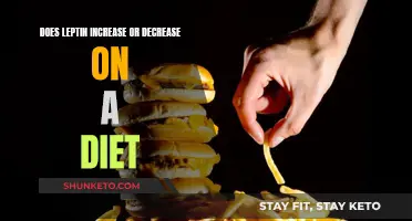Leptin Levels: Dieting's Impact Explained
