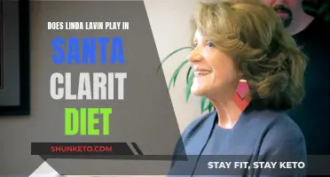 Lavin's Role in Santa Clarita Diet