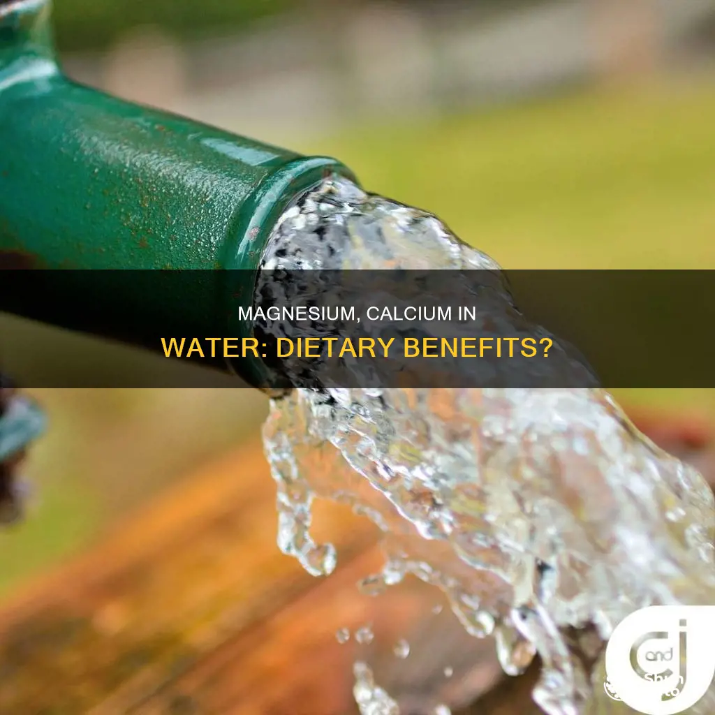 does magnesuim and calciom in water add to our diet