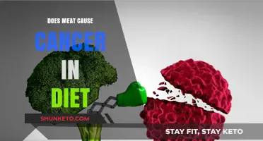 Meat and Cancer: Is Your Diet Safe?