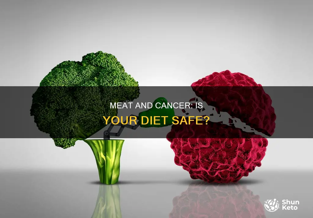 does meat cause cancer in diet