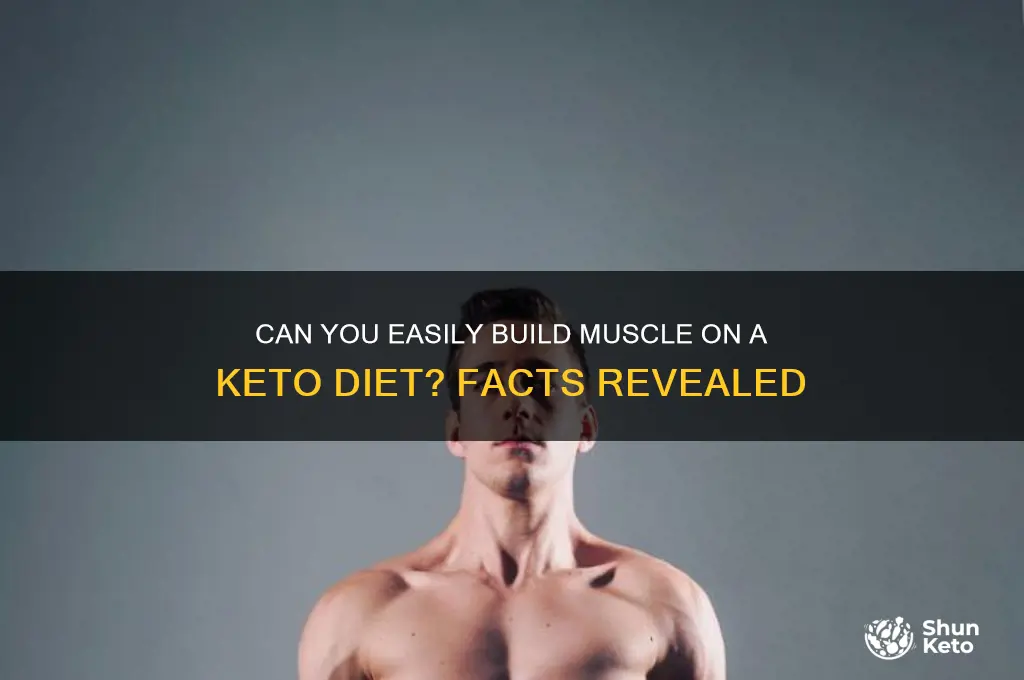 does muscle build easy on keto