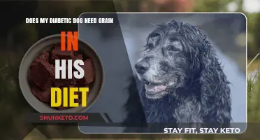 Grain-Free Diets: Best for Diabetic Dogs?