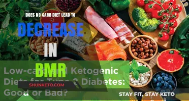 No-Carb Diet: BMR Decrease or Weight Loss Friend?