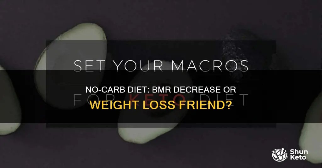 does no carb diet lead to decrease in bmr