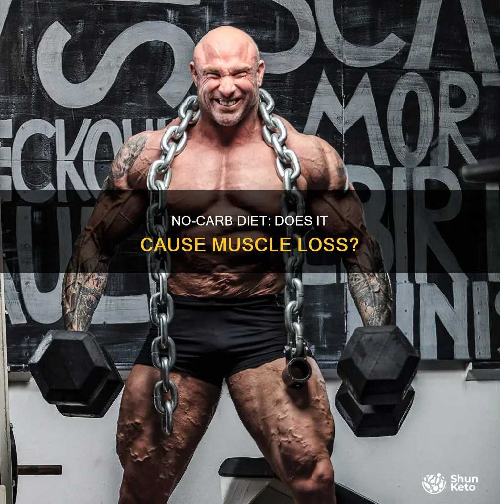 does no carb diet lead to muscle loss