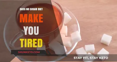 Sugar-Free Diets: Energy Boost or Drain?