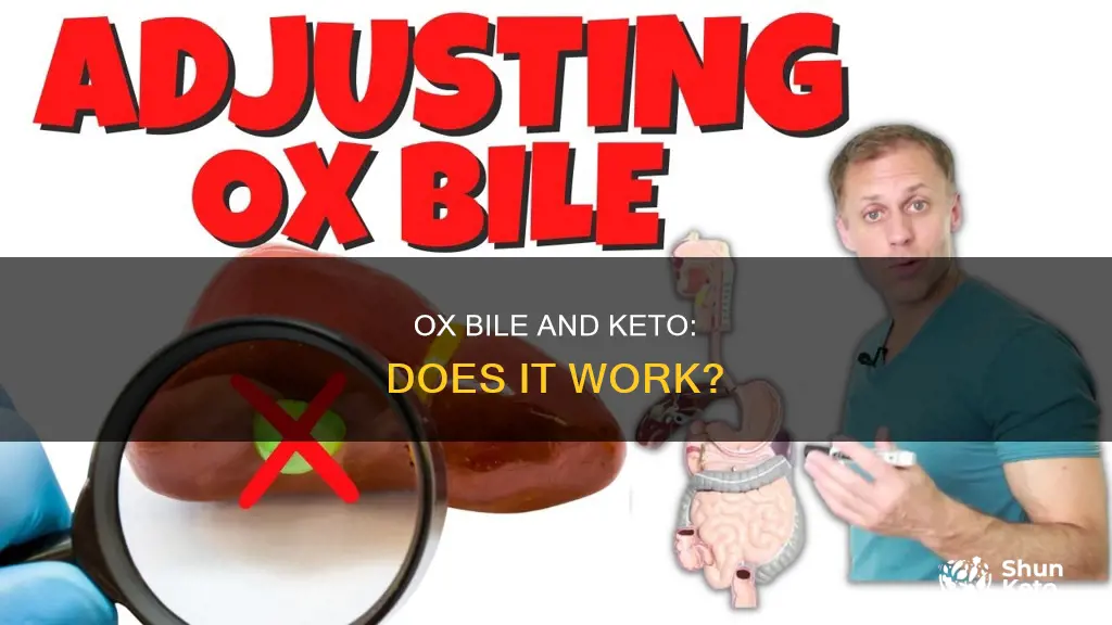 does ox bile work for keto