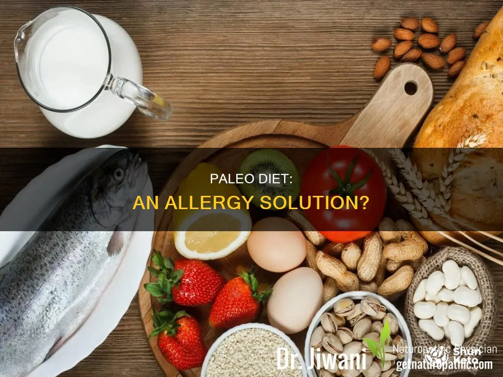 does paleolithic diet help with allergies