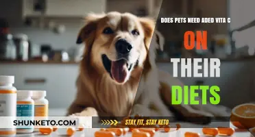 Pet Diets: Do They Need Vitamin C Supplements?