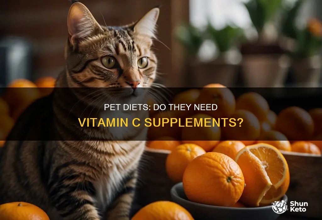 does pets need aded vita c on their diets