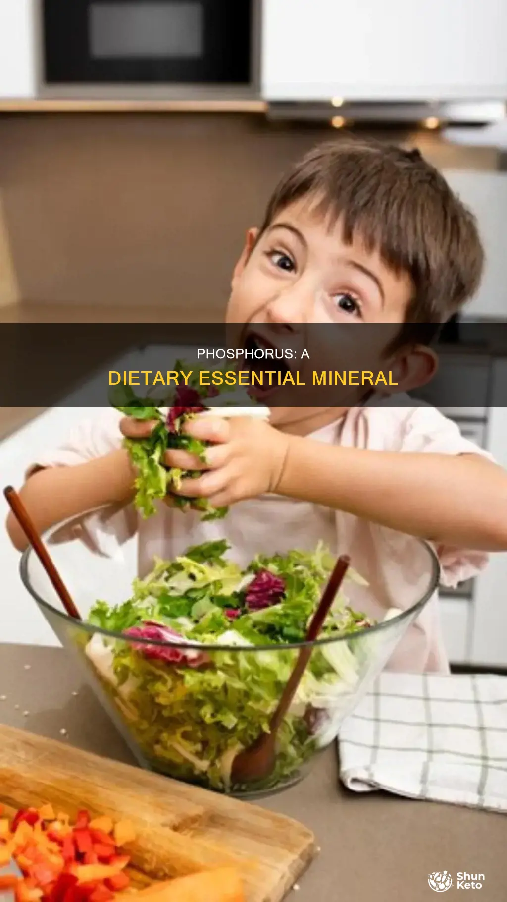 does phosphrous help in ones diet