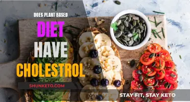 Plant-Based Diets: Are They Cholesterol-Free?