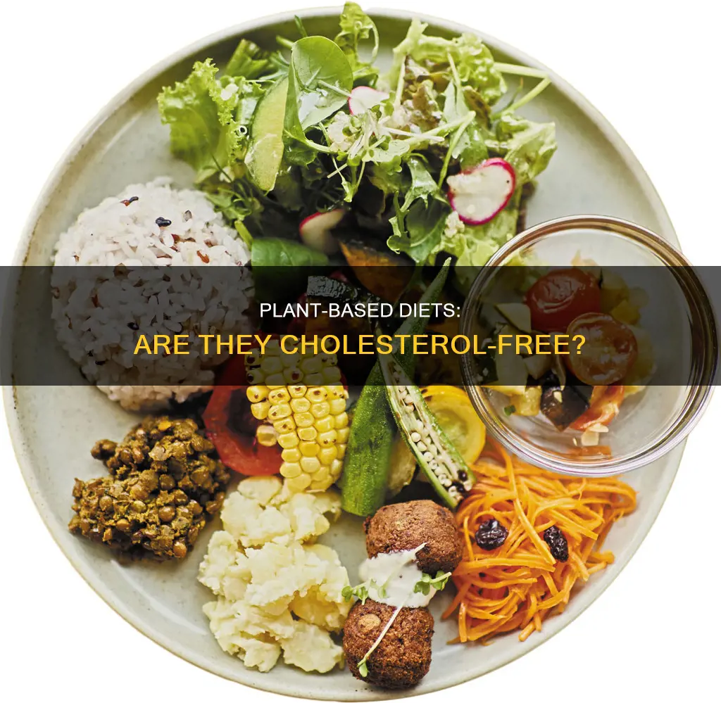 does plant based diet have cholestrol