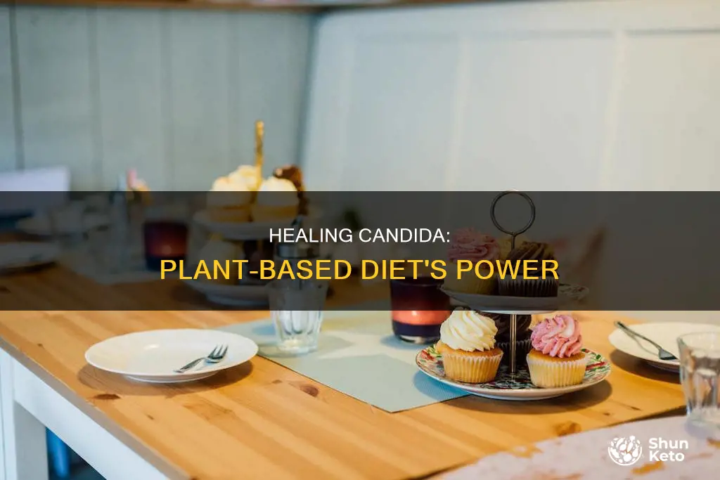 does plant based diet heal candida