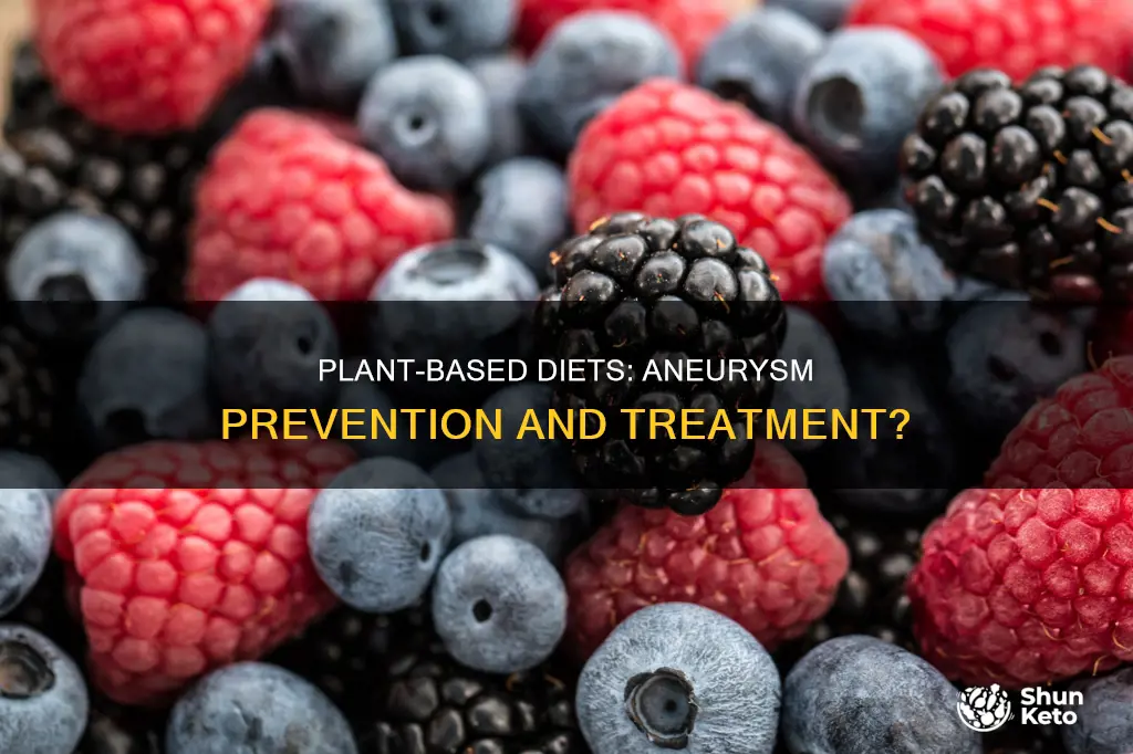 does plant based diet help aneurysms