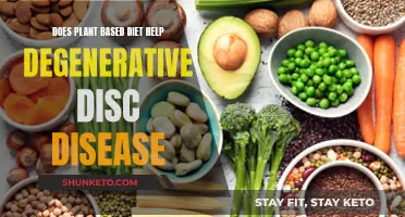 Plant-Based Diet: A Natural Remedy for Degenerative Disc Disease?