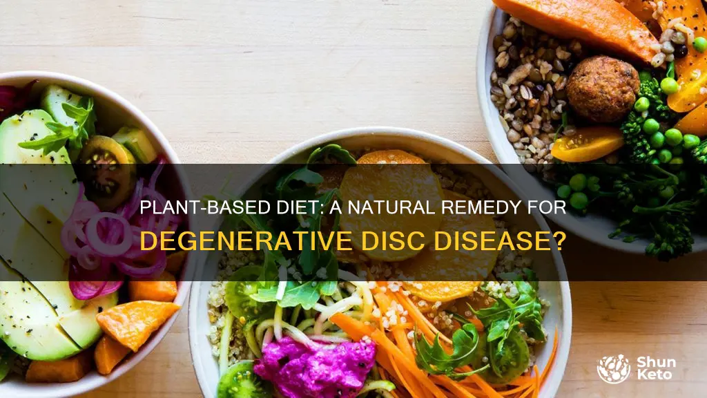 does plant based diet help degenerative disc disease